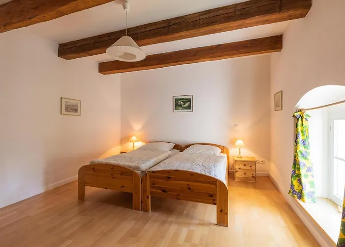 Orangerie Im Schlosspark Zu 公寓 *